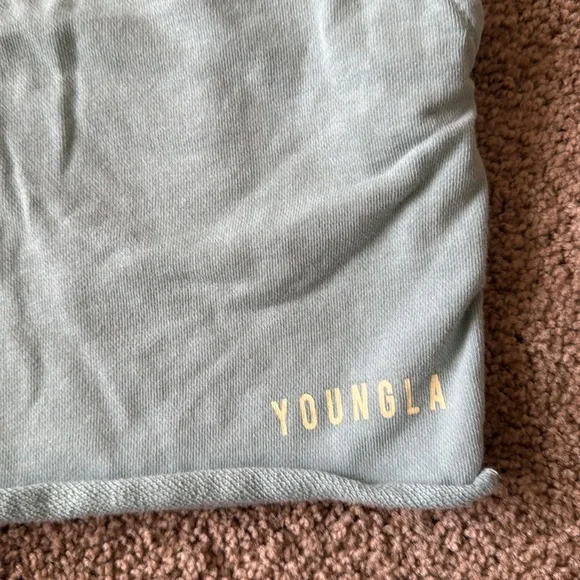 YoungLa Bodybuilding Slim Fit Gym Athletic Terry Sweat Shorts Teal - Picture 6 of 12